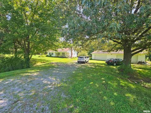 Tiny photo for 4864 Boaz Road, Grand Chain, IL 62941 (MLS # EB458950)