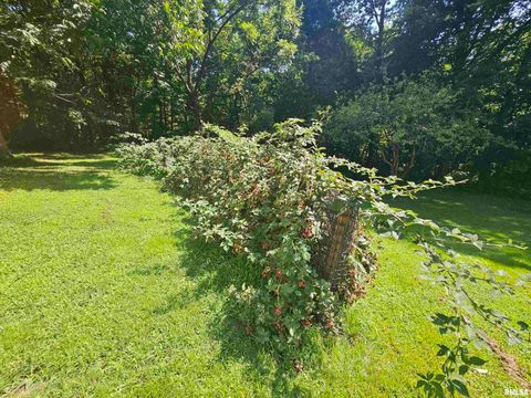 Tiny photo for 4864 Boaz Road, Grand Chain, IL 62941 (MLS # EB458950)