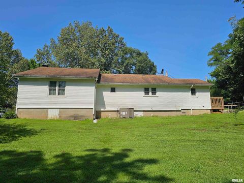 Tiny photo for 4864 Boaz Road, Grand Chain, IL 62941 (MLS # EB458950)