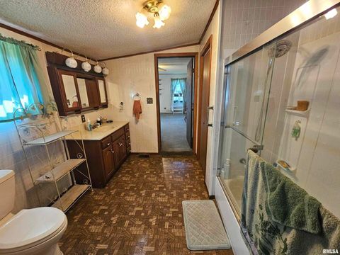 Tiny photo for 4864 Boaz Road, Grand Chain, IL 62941 (MLS # EB458950)