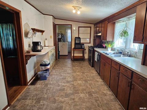 Tiny photo for 4864 Boaz Road, Grand Chain, IL 62941 (MLS # EB458950)