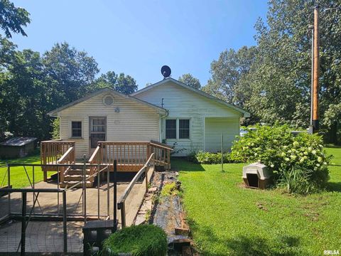 Tiny photo for 4864 Boaz Road, Grand Chain, IL 62941 (MLS # EB458950)