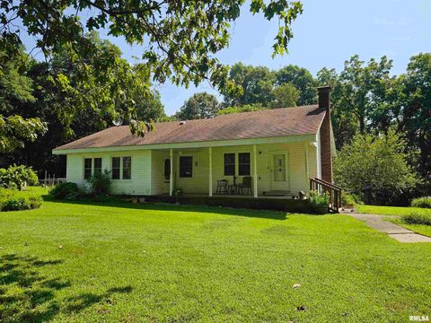 Photo of 4864 Boaz Road, Grand Chain, IL 62941 (MLS # EB458950)