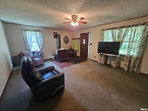 Tiny photo for 4864 Boaz Road, Grand Chain, IL 62941 (MLS # EB458950)