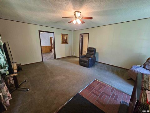 Tiny photo for 4864 Boaz Road, Grand Chain, IL 62941 (MLS # EB458950)