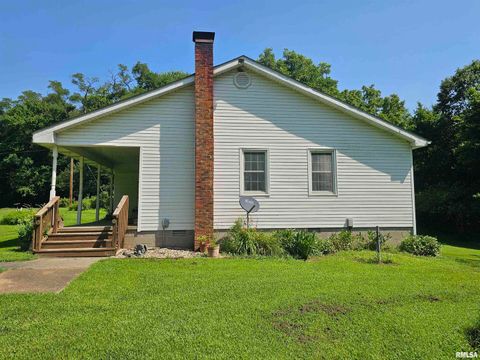 Tiny photo for 4864 Boaz Road, Grand Chain, IL 62941 (MLS # EB458950)