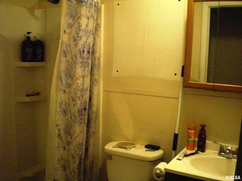 Tiny photo for 103 KIM Street, Desoto, IL 62924 (MLS # EB459008)