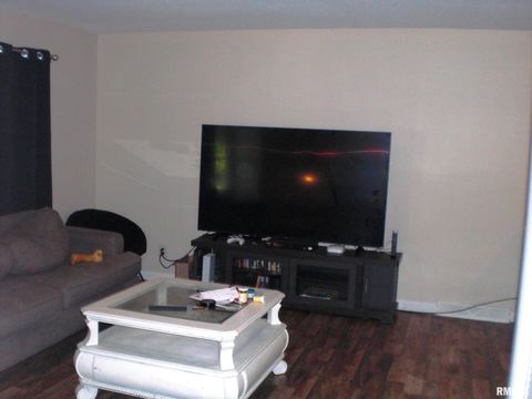 Tiny photo for 103 KIM Street, Desoto, IL 62924 (MLS # EB459008)