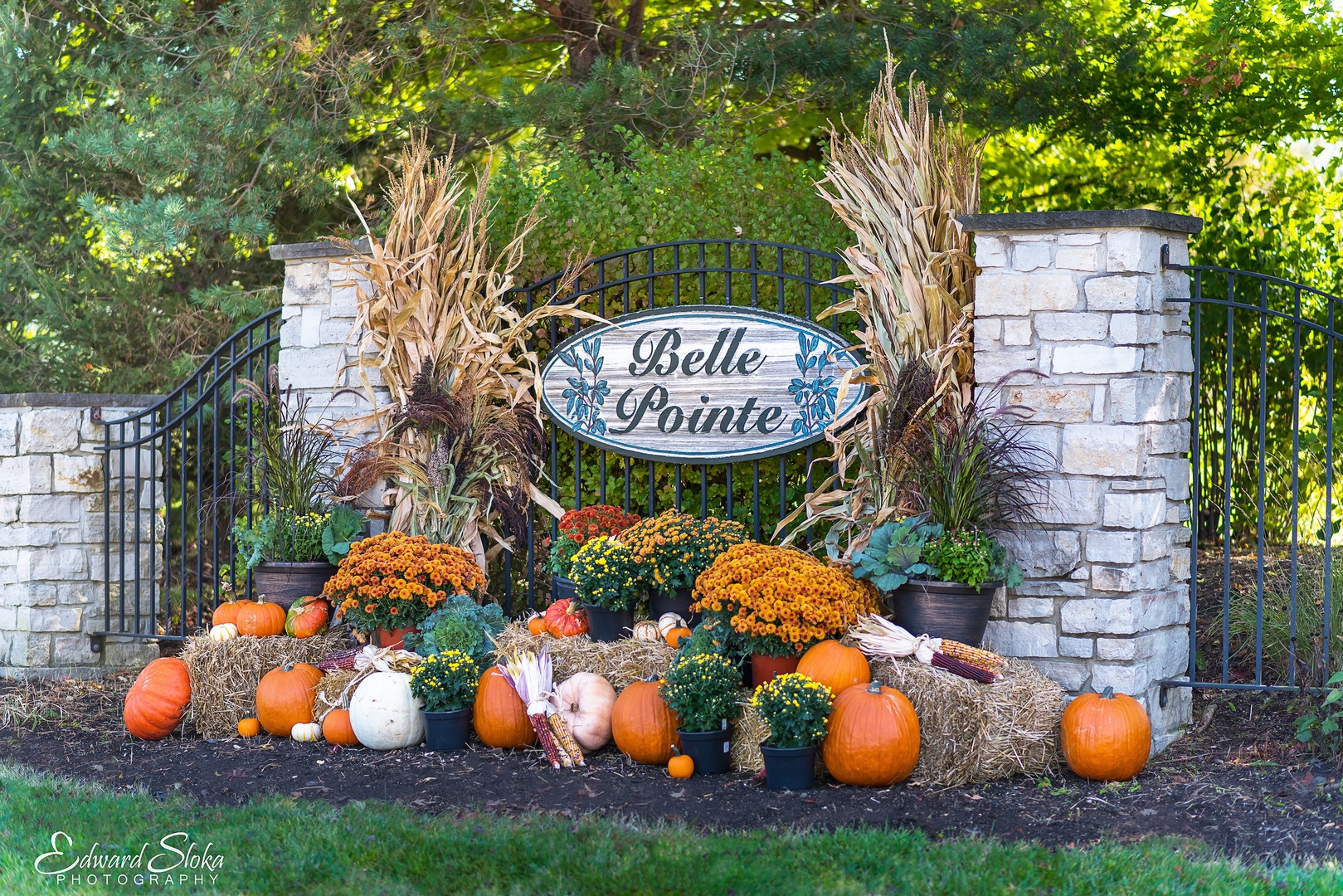 Union, Illinois 60180, United States, ,Land,Active,76071