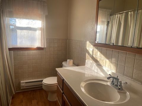 Tiny photo for 312 Walnut Street, Leonore, IL 61332 (MLS # 12525703)