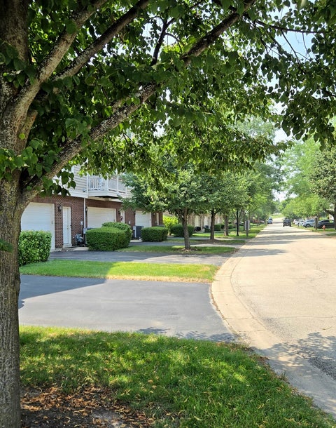 Tiny photo for 3116 Gansett Parkway #3116, Elgin, IL 60124 (MLS # 12709524)