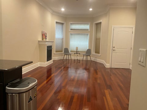 Tiny photo for Chicago, IL 60615 (MLS # 12661298)