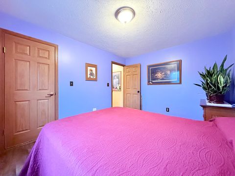 Tiny photo for 147 Hazel Road, Simpson, IL 62985 (MLS # 12586245)