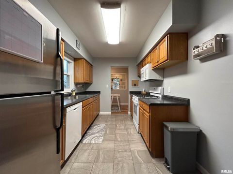 Tiny photo for 510 16TH Street, Silvis, IL 61282 (MLS # QC4269558)