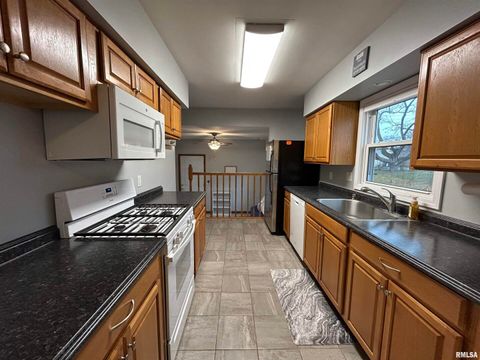 Tiny photo for 510 16TH Street, Silvis, IL 61282 (MLS # QC4269558)