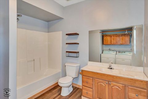 Tiny photo for 117 E Crawford Street, Peotone, IL 60468 (MLS # 12529172)