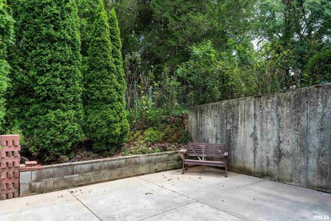 Tiny photo for 141 Pump Station Road, Makanda, IL 62958 (MLS # EB459012)