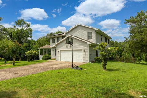 Tiny photo for 141 Pump Station Road, Makanda, IL 62958 (MLS # EB459012)