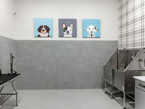 Tiny photo for 250 McHenry Road #C1, Buffalo Grove, IL 60089 (MLS # 12523816)