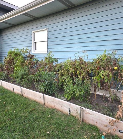 Tiny photo for Johnsburg, IL 60051 (MLS # 12511004)