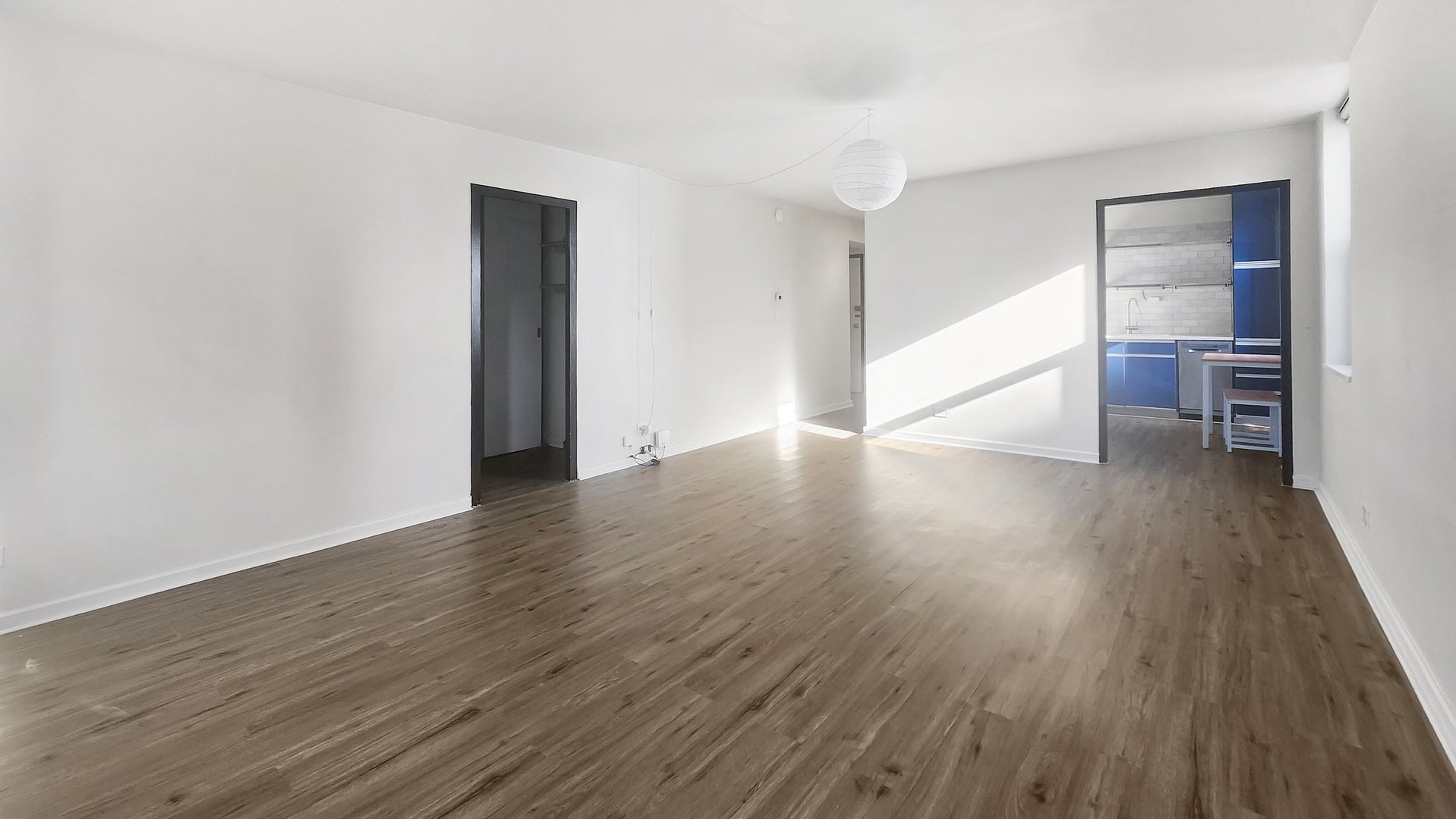 253 E Delaware Place 20B