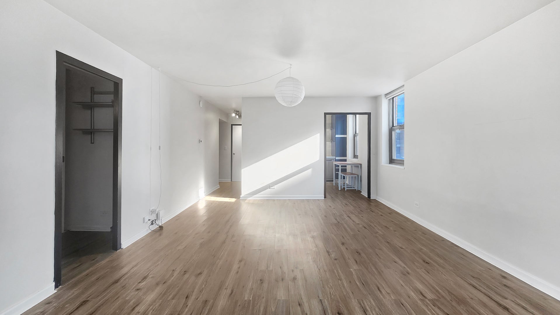 253 E Delaware Place 20B