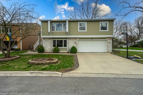 101 Croftwood Court Rolling Meadows IL 60008