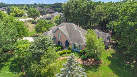 Photo of 17201 S Caitlin Court, Plainfield, IL 60586 (MLS # 12420408)