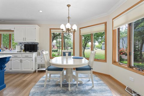 Tiny photo for 17201 S Caitlin Court, Plainfield, IL 60586 (MLS # 12420408)