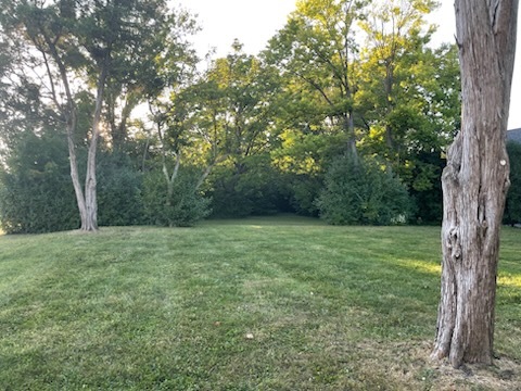 946 S Garfield Street