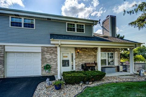 7110 Coachwood Trail none Tinley Park IL 60477