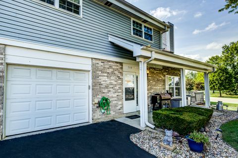 Tiny photo for 7110 Coachwood Trail #none, Tinley Park, IL 60477 (MLS # 12494530)