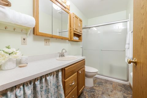 Tiny photo for 104 Susan Drive #A, Dwight, IL 60420 (MLS # 12614937)