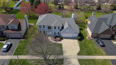 5311 Bundle Flower Court Naperville IL 60564