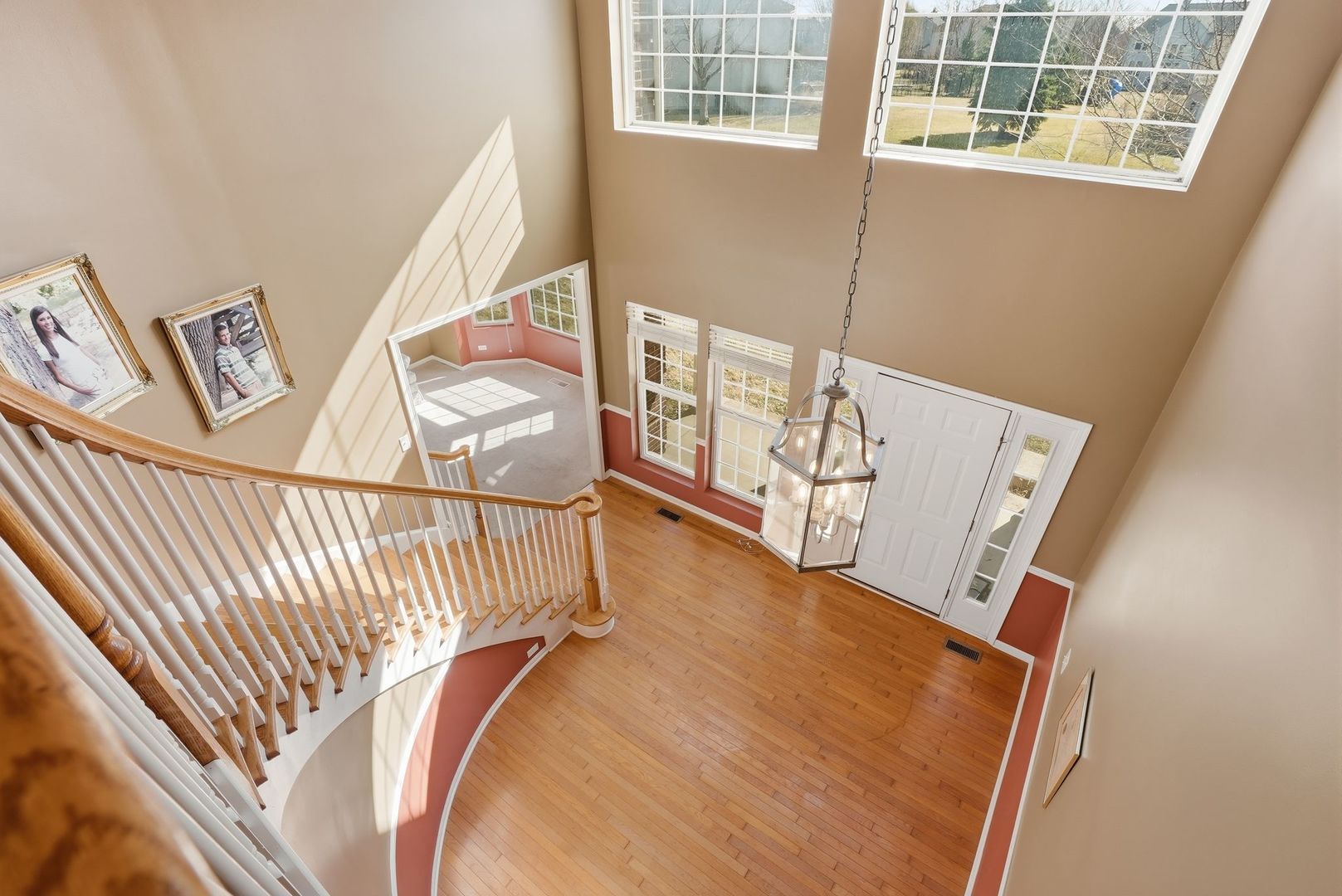 12312 BLUE IRIS Lane