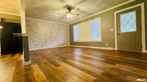 Tiny photo for 5381 CENTER Street, Mulkeytown, IL 62865 (MLS # EB460405)