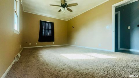 Tiny photo for 5381 CENTER Street, Mulkeytown, IL 62865 (MLS # EB460405)