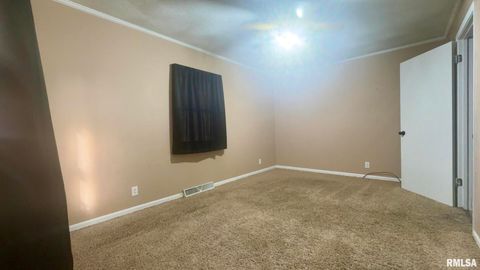 Tiny photo for 5381 CENTER Street, Mulkeytown, IL 62865 (MLS # EB460405)