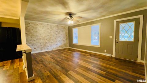 Tiny photo for 5381 CENTER Street, Mulkeytown, IL 62865 (MLS # EB460405)