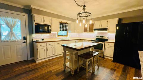 Tiny photo for 5381 CENTER Street, Mulkeytown, IL 62865 (MLS # EB460405)