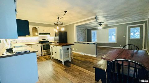 Tiny photo for 5381 CENTER Street, Mulkeytown, IL 62865 (MLS # EB460405)