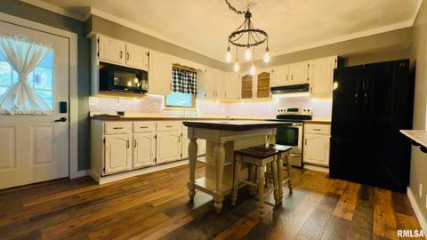 Tiny photo for 5381 CENTER Street, Mulkeytown, IL 62865 (MLS # EB460405)