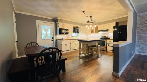 Tiny photo for 5381 CENTER Street, Mulkeytown, IL 62865 (MLS # EB460405)