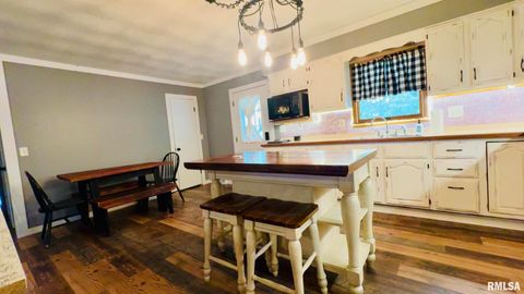 Tiny photo for 5381 CENTER Street, Mulkeytown, IL 62865 (MLS # EB460405)