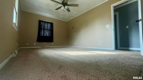 Tiny photo for 5381 CENTER Street, Mulkeytown, IL 62865 (MLS # EB460405)