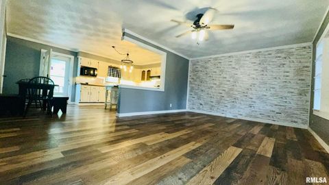 Tiny photo for 5381 CENTER Street, Mulkeytown, IL 62865 (MLS # EB460405)