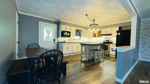 Tiny photo for 5381 CENTER Street, Mulkeytown, IL 62865 (MLS # EB460405)