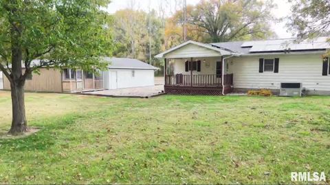 Tiny photo for 5381 CENTER Street, Mulkeytown, IL 62865 (MLS # EB460405)