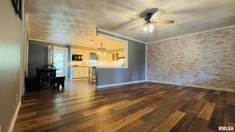 Tiny photo for 5381 CENTER Street, Mulkeytown, IL 62865 (MLS # EB460405)