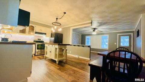 Tiny photo for 5381 CENTER Street, Mulkeytown, IL 62865 (MLS # EB460405)